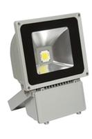 LED Flood Light