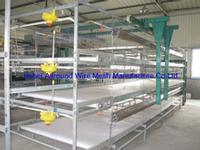 Chicken Layer Cage