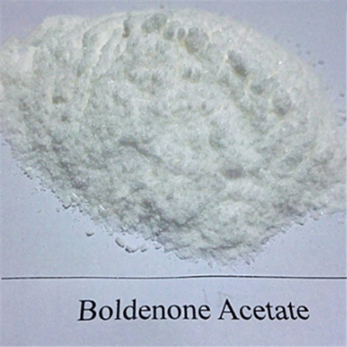 Boldenone Acetate White Solid Powder For