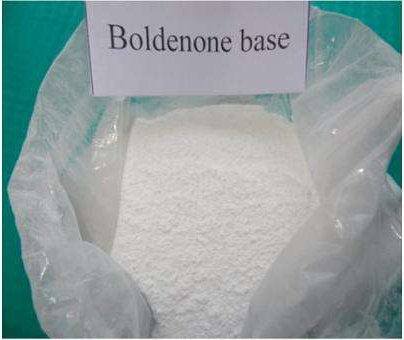 Boldenone Base anabolic hormones drugs