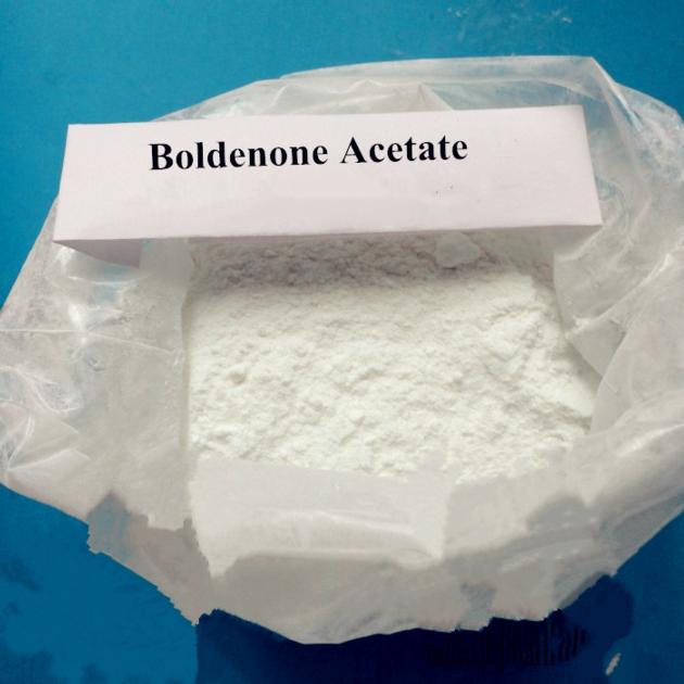 Boldenone Acetate White Solid Powder For