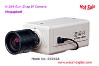 H.264 Megapixel PTZ Pan/Tilt Gun shape IP Camera