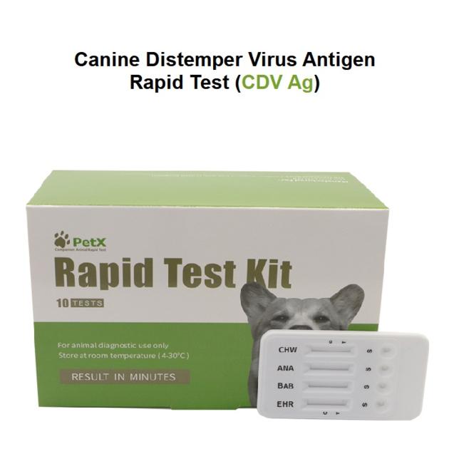 Canine Distemper Virus Antigen Rapid Test (CDV Ag)