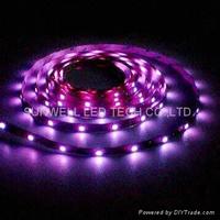 Flexible SMD5050 LED Strip/10mm/30pcs/7.2W/IP54/IP68