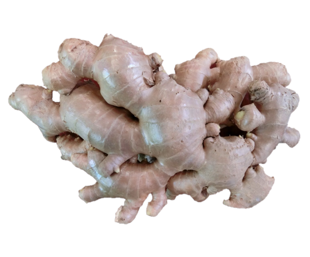 Thailand Fresh Ginger