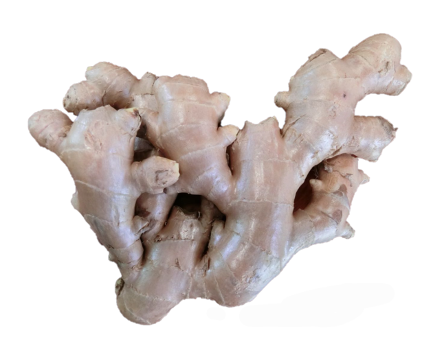 Thailand Fresh Ginger