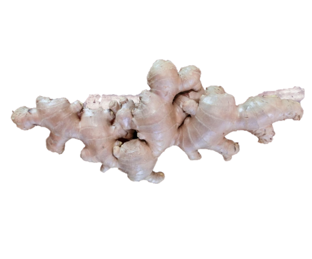 Thailand Fresh Ginger