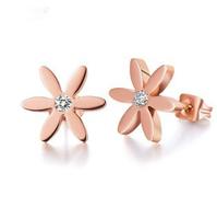 Fashion Earrings