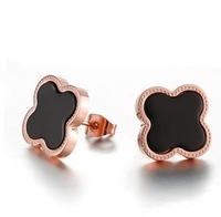 Titanium Earrings