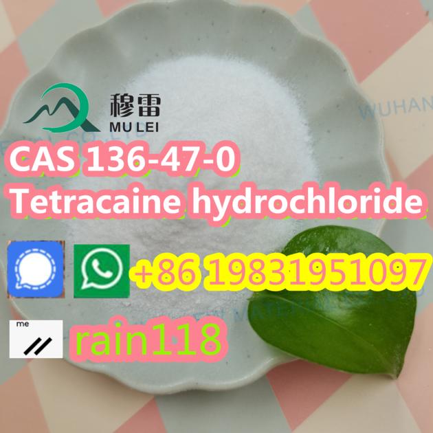China Factory Sell Procaine Hydrochloride CAS 51-05-8 Procaine HCl with Safe Shipping Way