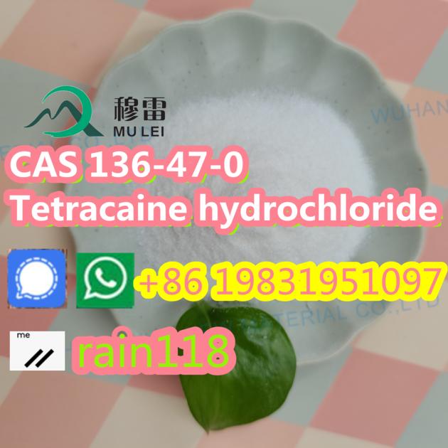 China Factory Sell Procaine Hydrochloride CAS