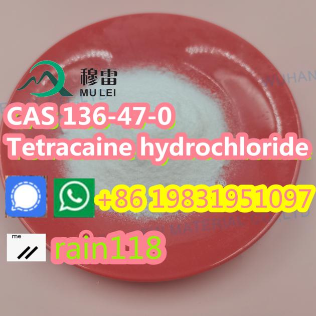 China Factory Supply High Quality 80mush