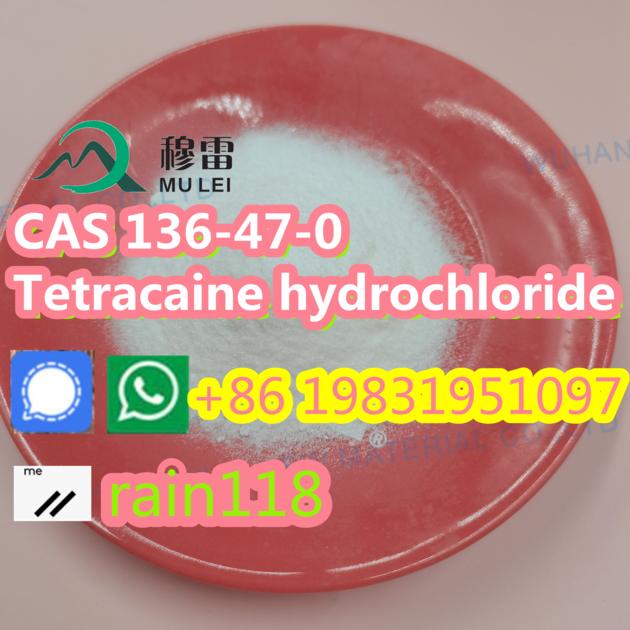 China Factory Supply High Quality 80mush 200mesh CAS 94-09-7 Benzocaine