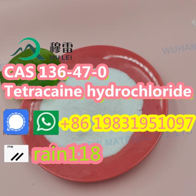 China Factory Supply High Quality 80mush