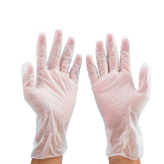  Powder Free Vinyl Gloves 