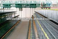  Hot Selling Automatic Chicken Broiler Battery Cage 