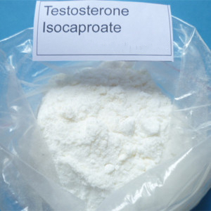 Testosterone Isocaproate Powder As Adrenal Cortex