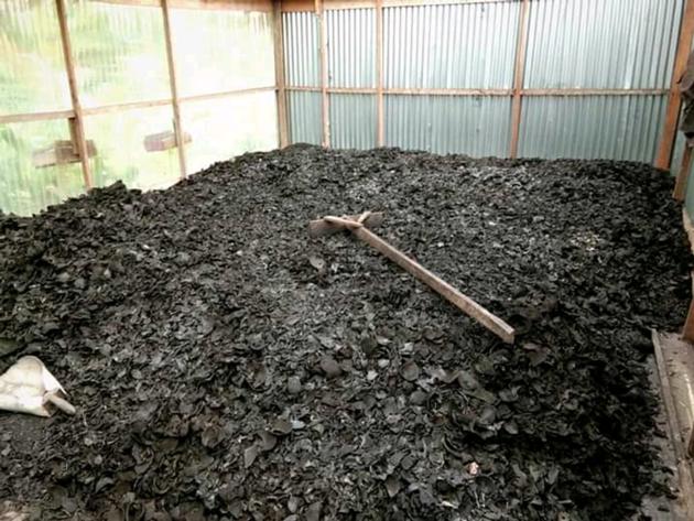 Coconut Shell Charcoal