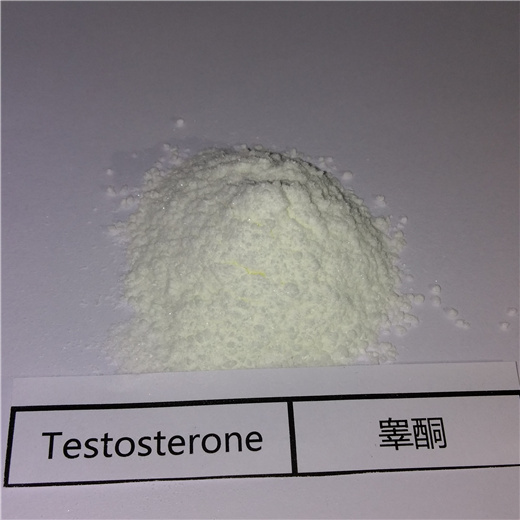 Testosterone Base Androgen For Bodybuilders