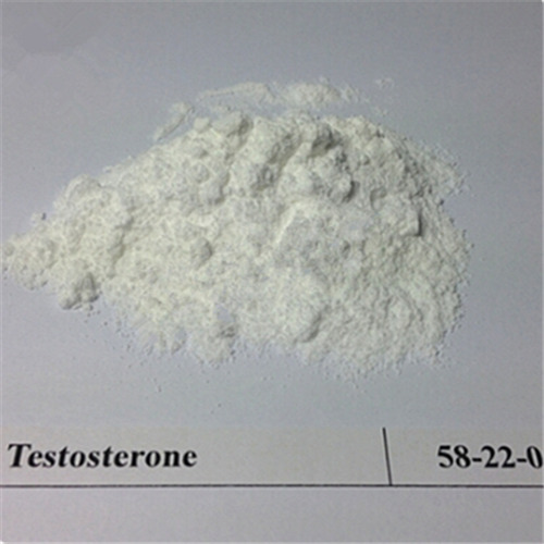 Testosterone Base androgen for bodybuilders