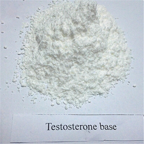Testosterone Base Androgen For Bodybuilders