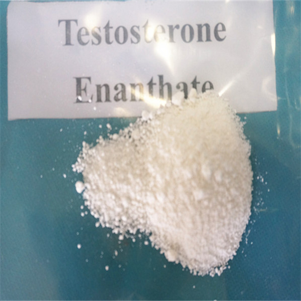 Testosterone Enanthate Male Hormone Drugs