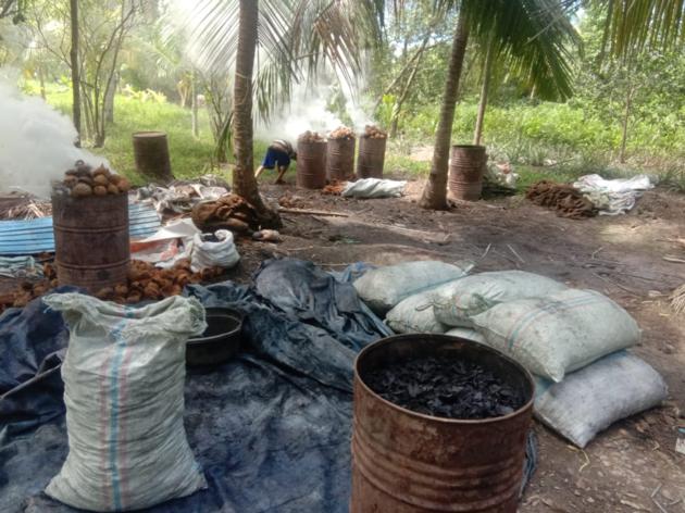 Coconut Shell Charcoal