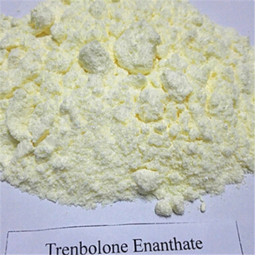 Trenbolone Enanthate Steroid To Muscle Growth
