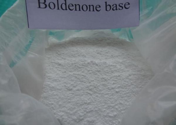 Boldenone Base Anabolic Hormones Drugs