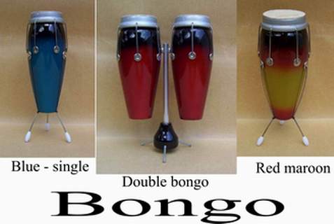 miniature of bongo