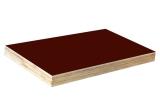 Brown Film Faced Plywood