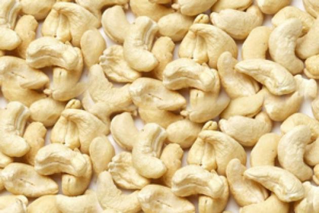 Cashew nut kernels