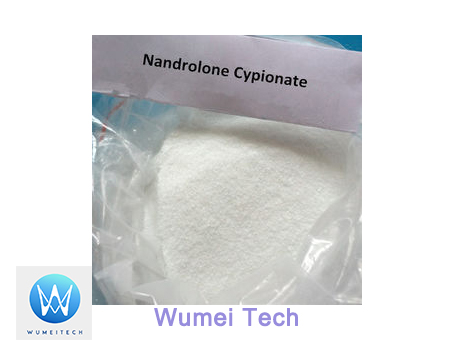 Nandrolone Cypionate anabolic steroid powder