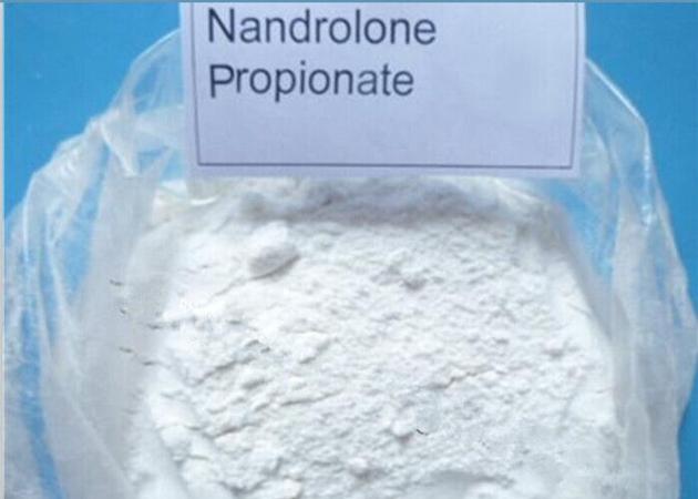 Nandrolone Propionate anabolic steroid powder
