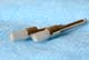 Prophy Brush
