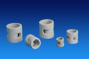 pall ring