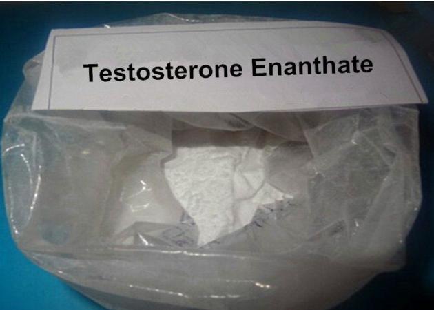 Testosterone Enanthate Male Hormone Drugs