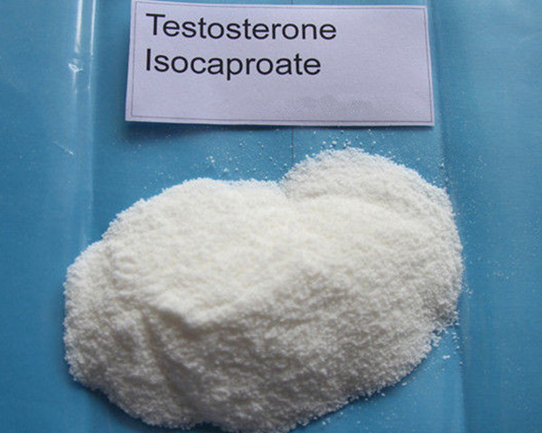 Testosterone Isocaproate Powder As Adrenal Cortex