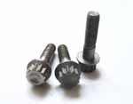 Titanium Fastener