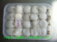 Whole cleaned cuttlefish