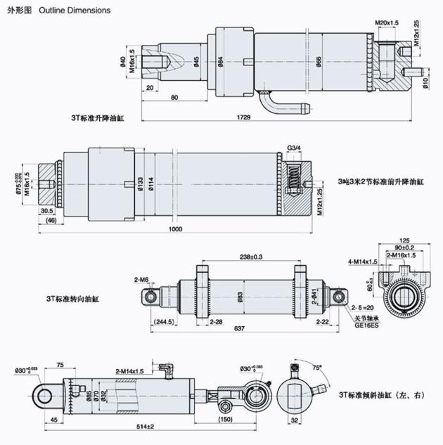 Forklift Series Cylinders