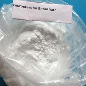 Testosterone Enanthate/steroidsbio@chembj.com