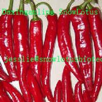 Capsicum annuum extract