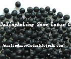 Black bean hull extract(anthocyanin)
