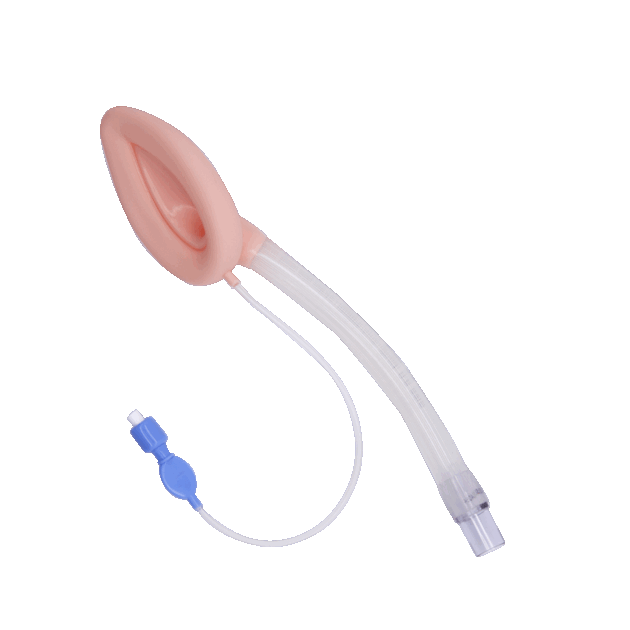 Reusable Laryngeal Mask Airway
