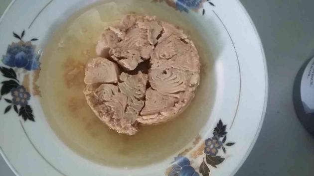 Canned Tuna Canned Skipjack Tuna Canned