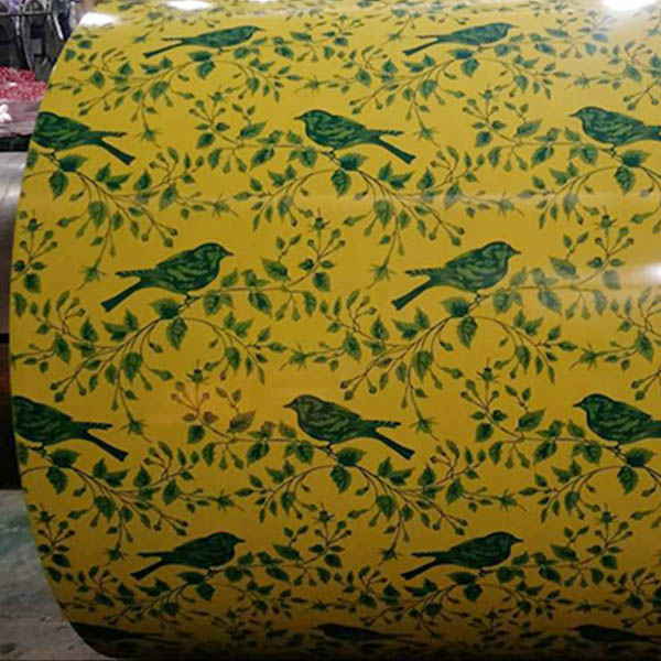 Ppgi Ppgl Pattern Steel Coil