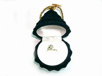 Musical Jewelry box
