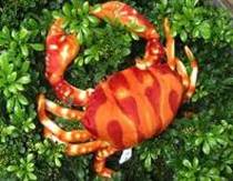 plush crabs