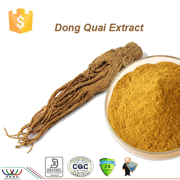 Dong Quai Extract 